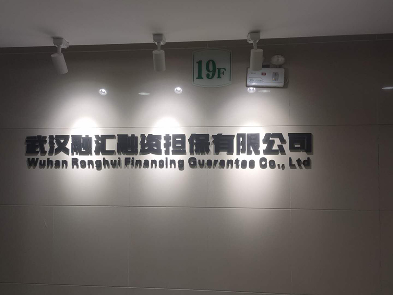 武汉融汇融资担保有限公司企业形象背景墙制作安装