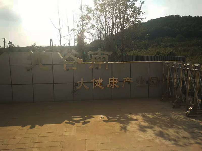 武汉光谷南大健康产业园拉丝不锈钢精工字安装现场